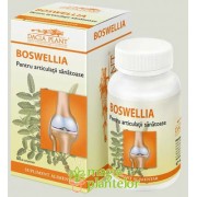 Boswellia 60 CPR – Dacia Plant